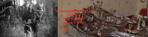 эйфоретик Михайлов