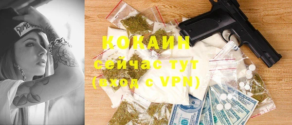 тгк Михайловск